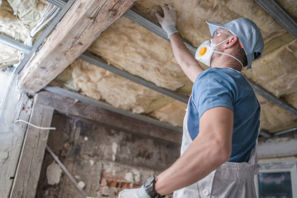 Best Insulation Installation Services in Kenosha, WI