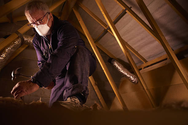 Best Commercial Insulation in Kenosha, WI